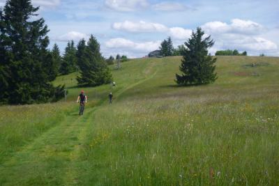 MTB, Gravel, Rhön, Kissinger Hütte